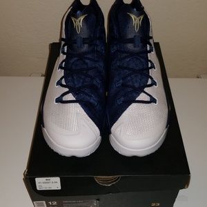 Mens Jordan melo 12
